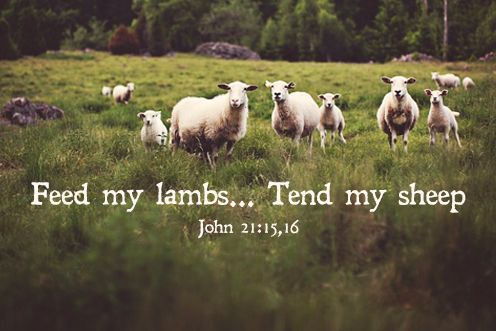3rd Sunday of Easter (04/05/2025)