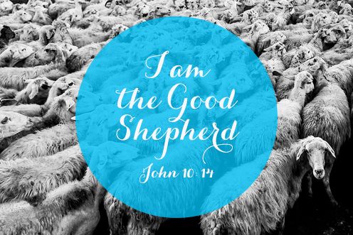 4th Sunday of Easter (11/05/2025)