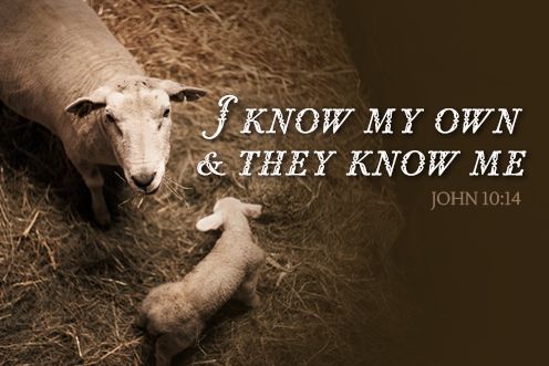 4th Sunday of Easter (11/05/2025)