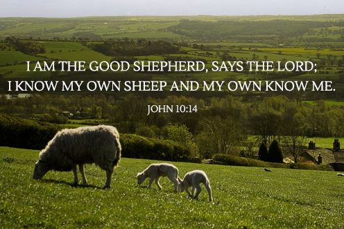 4th Sunday of Easter (11/05/2025)