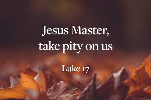 28th Sunday of the Year 12/10/2025