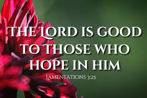 27th Sunday of the Year 05/10/2025
