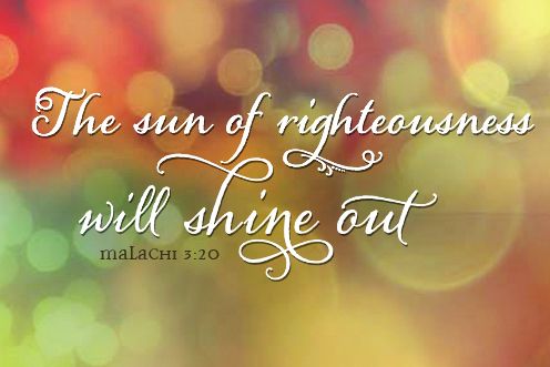 33rd Sunday of the Year (16/11/2025)