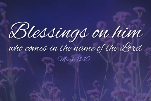 Feast of Christ The King (23/11/2025)