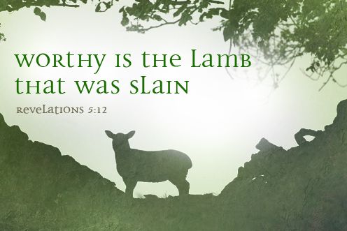 Feast of Christ The King (23/11/2025)