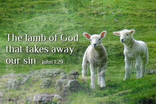 2nd Sunday of the Year (18/01/2026)