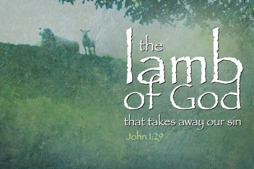 2nd Sunday of the Year (18/01/2026)