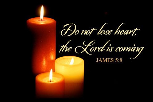 3rd Sunday of Advent (14/12/2025)