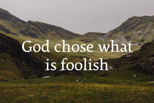 4th Sunday of the Year (01/02/2026)