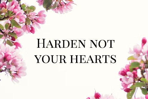 3rd Sunday of Lent (08/03/2026)