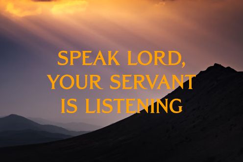 6th Sunday of the Year (15/02/2026)