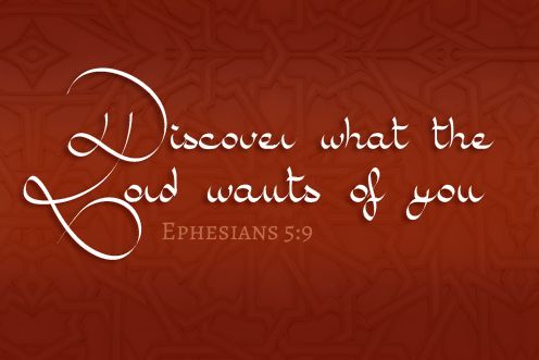 4th Sunday of Lent (15/03/2026)