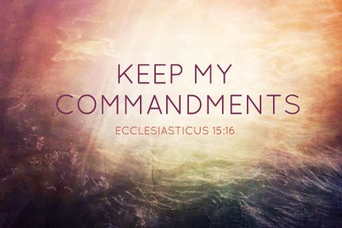 6th Sunday of the Year (15/02/2026)