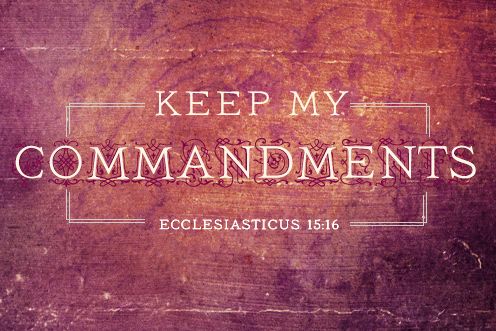 6th Sunday of the Year (15/02/2026)