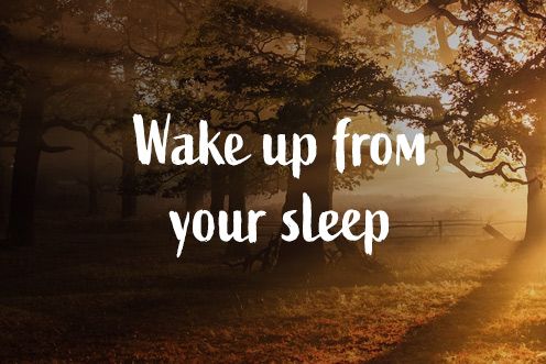 4th Sunday of Lent (15/03/2026)