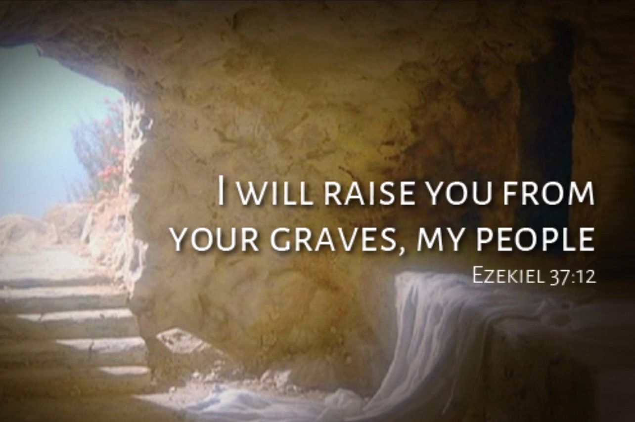 5th Sunday of Lent (22/03/2026)