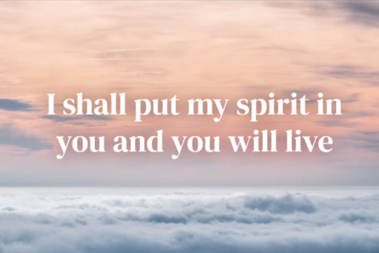 5th Sunday of Lent (22/03/2026)