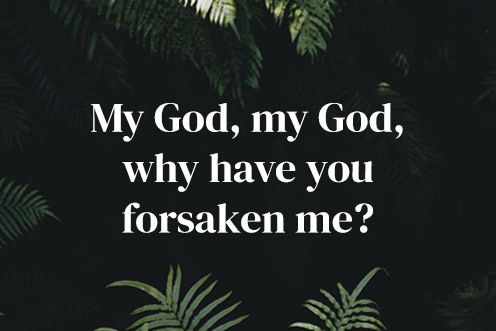 Palm Sunday (29/03/2026)