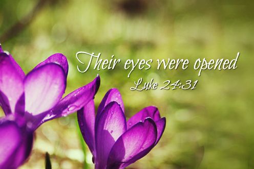 3rd Sunday of Easter (19/04/2026)