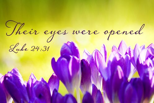 3rd Sunday of Easter (19/04/2026)