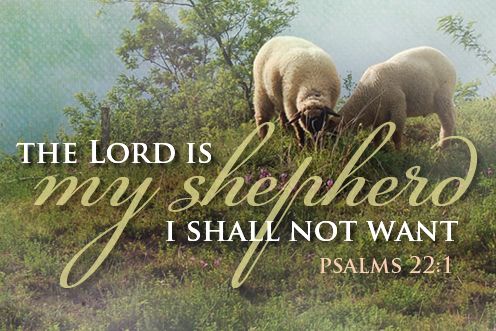 4th Sunday of Easter (26/04/2026)