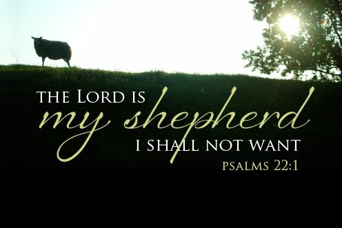 4th Sunday of Easter (26/04/2026)