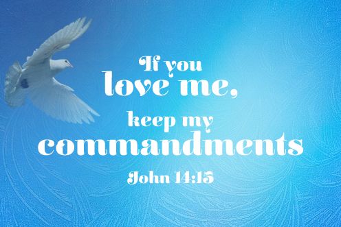 6th Sunday of Easter (10/04/2026)