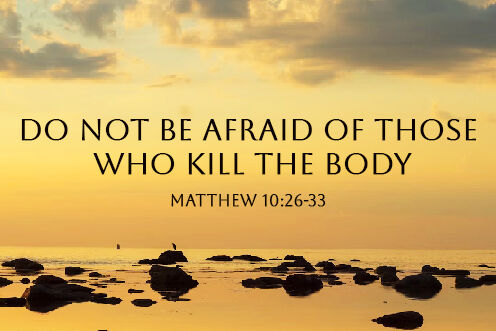 12th Sunday in Ordinary Time (21/06/2026)