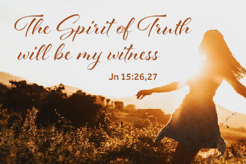 12th Sunday in Ordinary Time (21/06/2026)