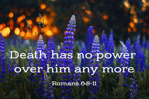 13th Sunday in Ordinary Time (28/06/2026)