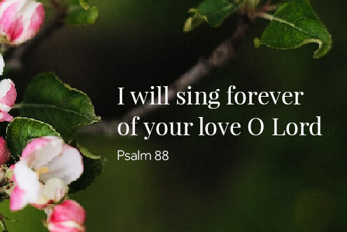 13th Sunday in Ordinary Time (28/06/2026)