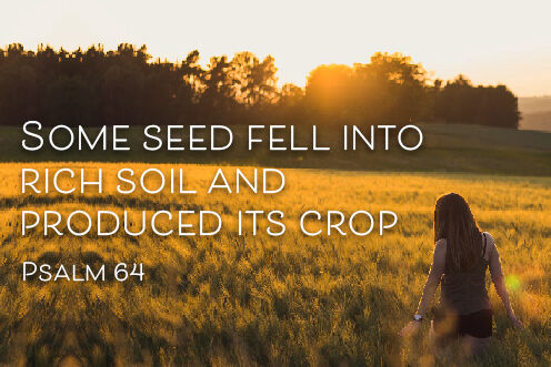 15th Sunday in Ordinary Time (12/07/2026)