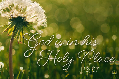 17th Sunday in Ordinary Time (26/07/2026)