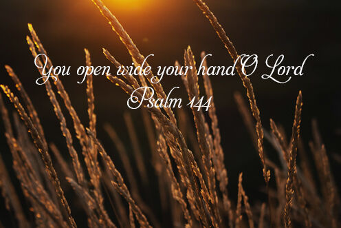 18th Sunday in Ordinary Time (02/08/2026)