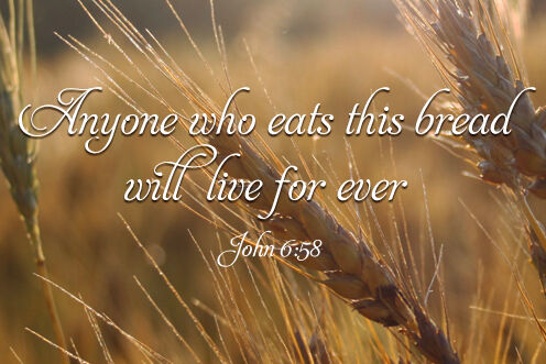 Feast of Corpus Christi (07/06/2026)