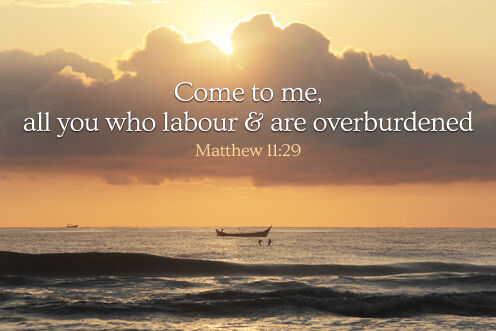 14th Sunday in Ordinary Time (05/07/2026)