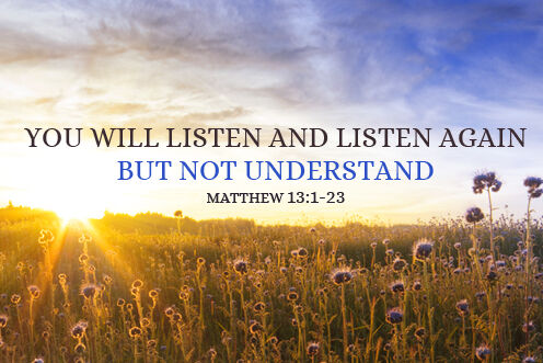 15th Sunday in Ordinary Time (12/07/2026)