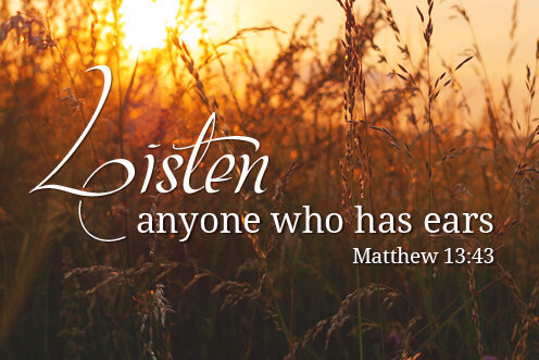 16th Sunday in Ordinary Time (10/07/2026)