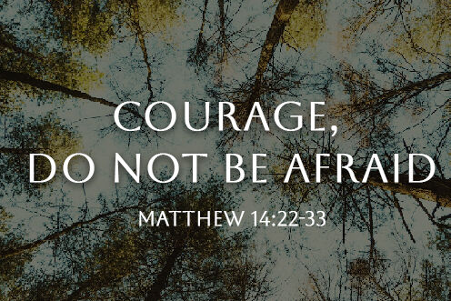 19th Sunday in Ordinary Time (09/08/2026)