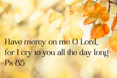 22nd Sunday in Ordinary Time (29/08/2026)