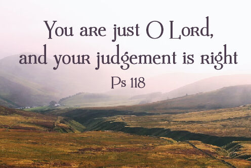 23rd Sunday in Ordinary Time (06/09/2026)