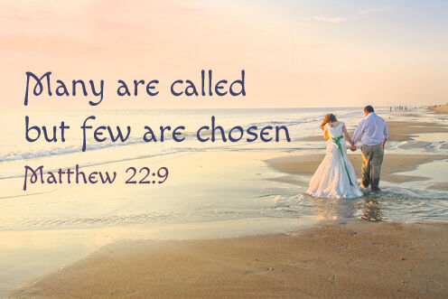 28th Sunday in Ordinary Time (11/10/2026)