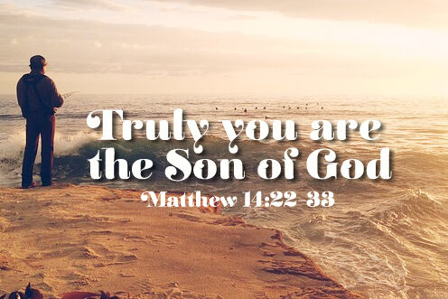 19th Sunday in Ordinary Time (09/08/2026)
