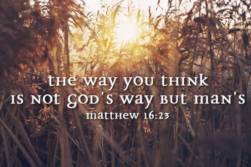 22nd Sunday in Ordinary Time (29/08/2026)