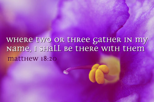 23rd Sunday in Ordinary Time (06/09/2026)