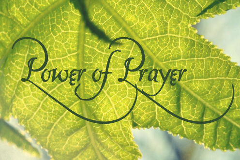 23rd Sunday in Ordinary Time (06/09/2026)